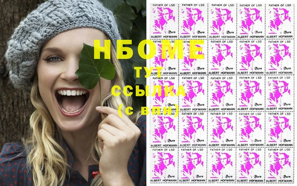 индика Михайлов
