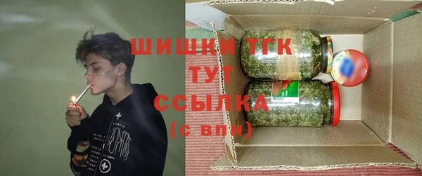 индика Михайлов