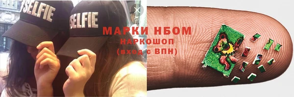 индика Михайлов