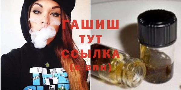 молекула духа Чердынь