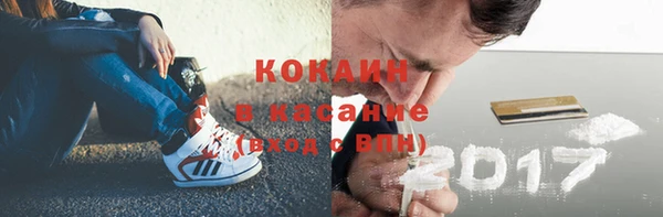 индика Михайлов