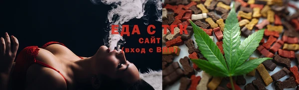 индика Михайлов