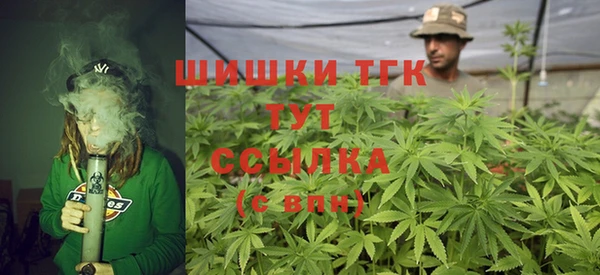 индика Михайлов