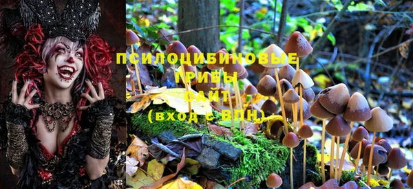 ПСИЛОЦИБИНОВЫЕ ГРИБЫ Михайловск