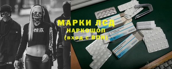 индика Михайлов