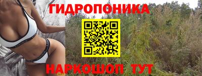 амф Берёзовский