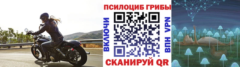 Галлюциногенные грибы Psilocybine cubensis Балашов