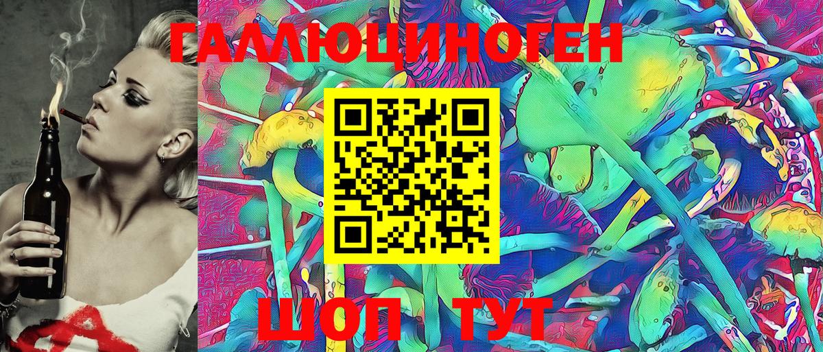 Псилоцибиновые грибы GOLDEN TEACHER  Балашов  Псилоцибиновые грибы MAGIC MUSHROOMS 